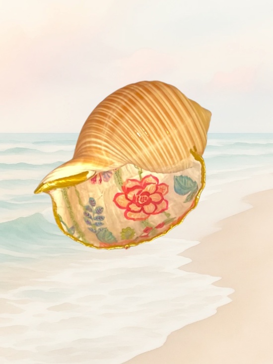 The Salty Chic Other - Striped Tonna Sulcosa Trinket Dish Sea Shell